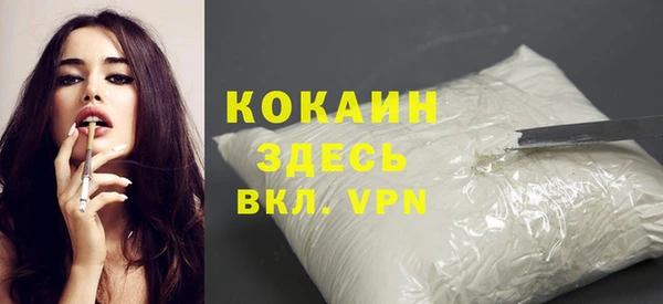 Альфа ПВП Гусев