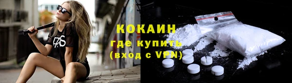Альфа ПВП Гусев