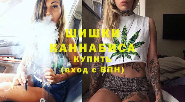 Альфа ПВП Гусев