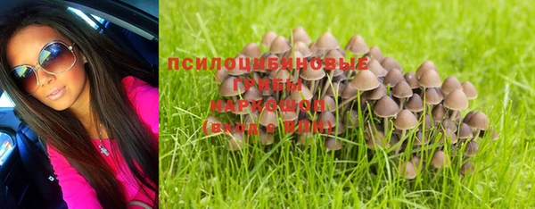 Альфа ПВП Гусев