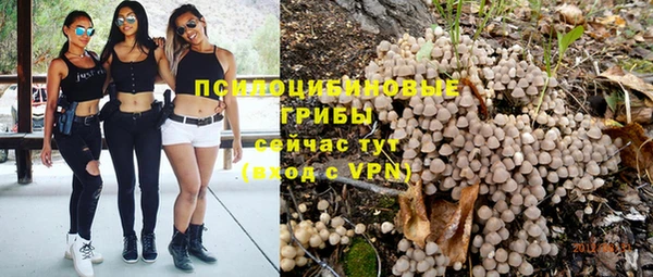 Альфа ПВП Гусев