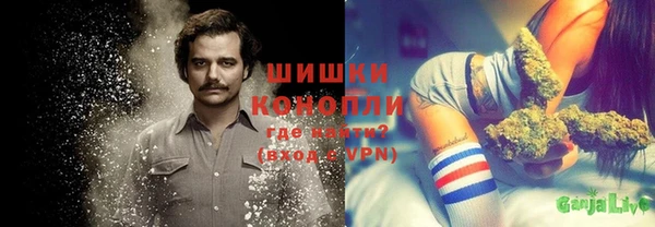 метадон Гусь-Хрустальный