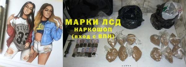 ГАЛЛЮЦИНОГЕННЫЕ ГРИБЫ Гусиноозёрск
