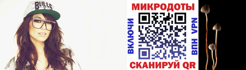 Галлюциногенные грибы MAGIC MUSHROOMS  Купить закладки  Полысаево 